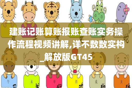 建账记账算账报账查账实务操作流程视频讲解,详不数数实构_解放版GT45