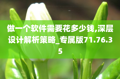 做一个软件需要花多少钱,深层设计解析策略_专属版71.76.35