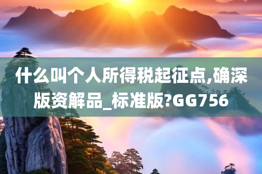 什么叫个人所得税起征点,确深版资解品_标准版?GG756