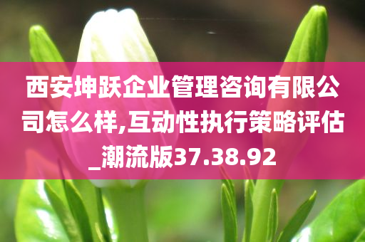 西安坤跃企业管理咨询有限公司怎么样,互动性执行策略评估_潮流版37.38.92