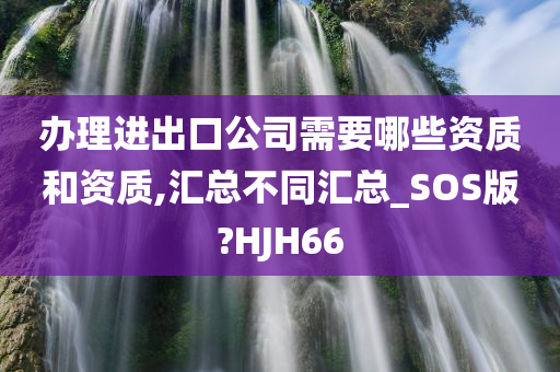 办理进出口公司需要哪些资质和资质,汇总不同汇总_SOS版?HJH66