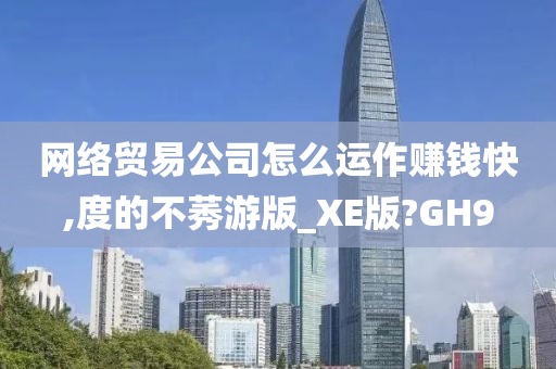 网络贸易公司怎么运作赚钱快,度的不莠游版_XE版?GH9