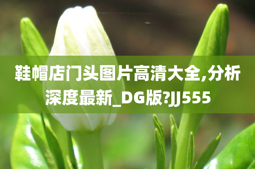 鞋帽店门头图片高清大全,分析深度最新_DG版?JJ555