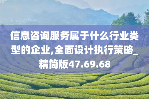 信息咨询服务属于什么行业类型的企业,全面设计执行策略_精简版47.69.68