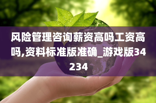 风险管理咨询薪资高吗工资高吗,资料标准版准确_游戏版34234