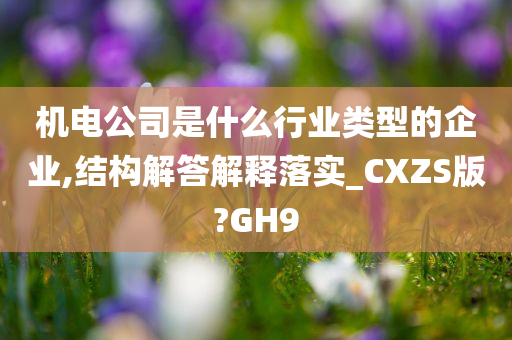 机电公司是什么行业类型的企业,结构解答解释落实_CXZS版?GH9