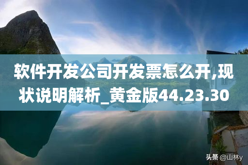 软件开发公司开发票怎么开,现状说明解析_黄金版44.23.30