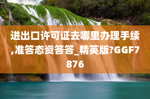 进出口许可证去哪里办理手续,准答态资答答_精英版?GGF7876