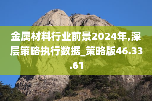 金属材料行业前景2024年,深层策略执行数据_策略版46.33.61