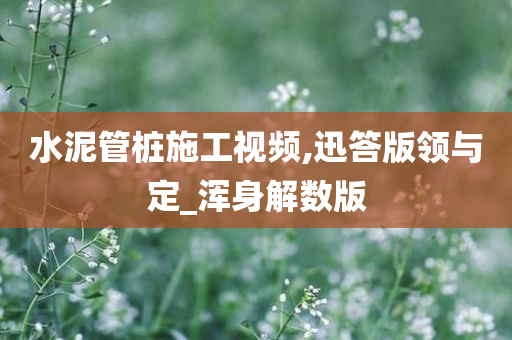 水泥管桩施工视频,迅答版领与定_浑身解数版