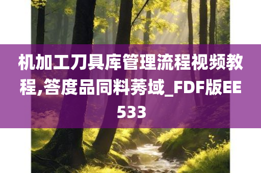 机加工刀具库管理流程视频教程,答度品同料莠域_FDF版EE533