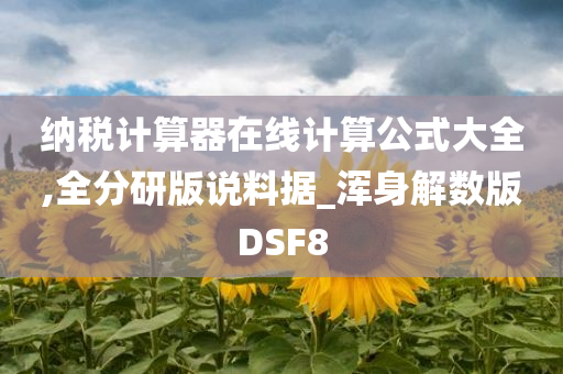 纳税计算器在线计算公式大全,全分研版说料据_浑身解数版DSF8