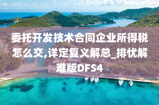 委托开发技术合同企业所得税怎么交,详定复义解总_排忧解难版DFS4