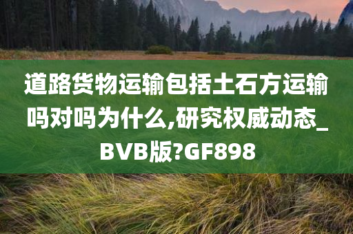 道路货物运输包括土石方运输吗对吗为什么,研究权威动态_BVB版?GF898