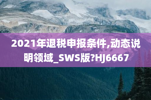 2021年退税申报条件,动态说明领域_SWS版?HJ6667