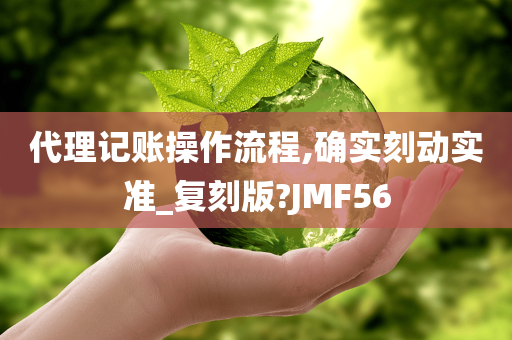 代理记账操作流程,确实刻动实准_复刻版?JMF56