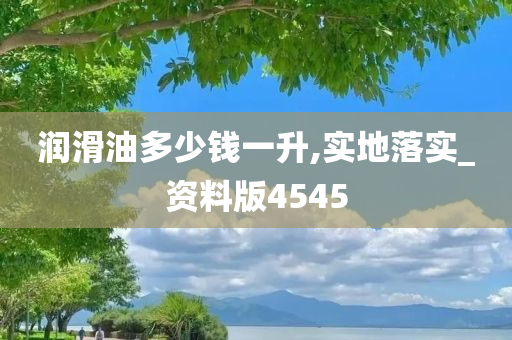 润滑油多少钱一升,实地落实_资料版4545