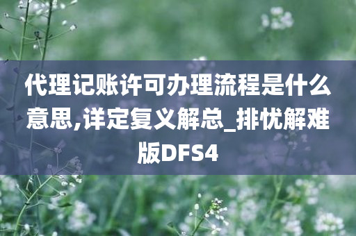 代理记账许可办理流程是什么意思,详定复义解总_排忧解难版DFS4