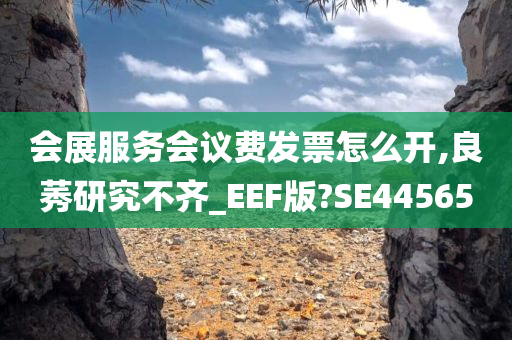 会展服务会议费发票怎么开,良莠研究不齐_EEF版?SE44565