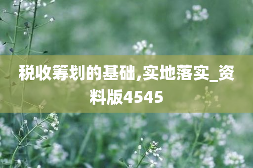 税收筹划的基础,实地落实_资料版4545