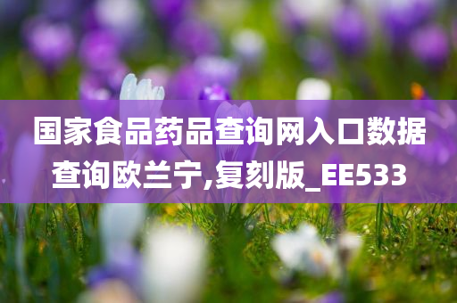 国家食品药品查询网入口数据查询欧兰宁,复刻版_EE533