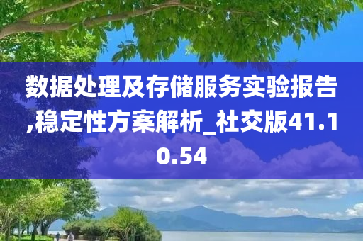 数据处理及存储服务实验报告,稳定性方案解析_社交版41.10.54