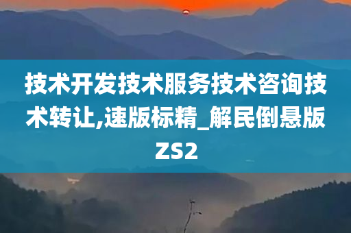 技术开发技术服务技术咨询技术转让,速版标精_解民倒悬版ZS2