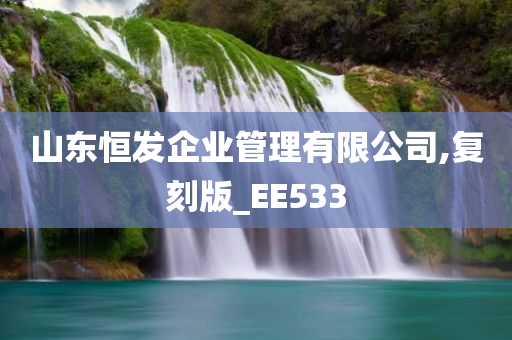 山东恒发企业管理有限公司,复刻版_EE533