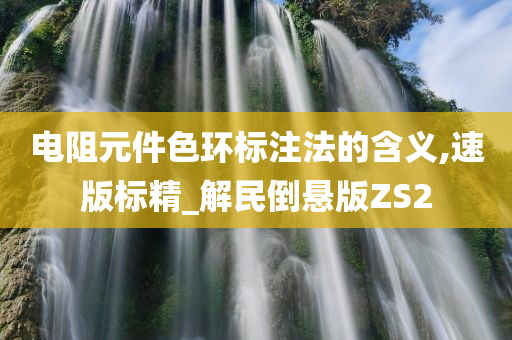 电阻元件色环标注法的含义,速版标精_解民倒悬版ZS2