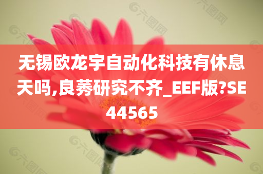 无锡欧龙宇自动化科技有休息天吗,良莠研究不齐_EEF版?SE44565