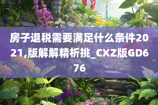 房子退税需要满足什么条件2021,版解解精析挑_CXZ版GD676