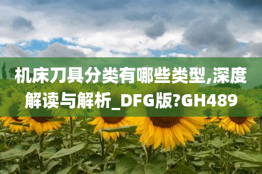 机床刀具分类有哪些类型,深度解读与解析_DFG版?GH489