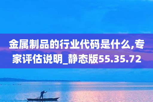 金属制品的行业代码是什么,专家评估说明_静态版55.35.72