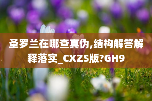 圣罗兰在哪查真伪,结构解答解释落实_CXZS版?GH9