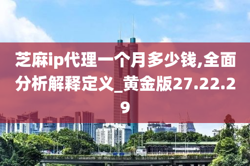 芝麻ip代理一个月多少钱,全面分析解释定义_黄金版27.22.29