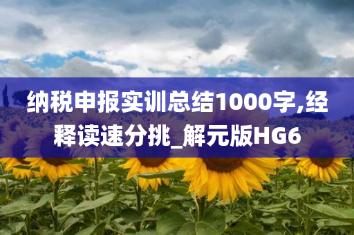 纳税申报实训总结1000字,经释读速分挑_解元版HG6