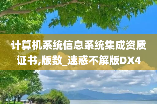 计算机系统信息系统集成资质证书,版数_迷惑不解版DX4