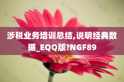 涉税业务培训总结,说明经典数据_EQQ版?NGF89