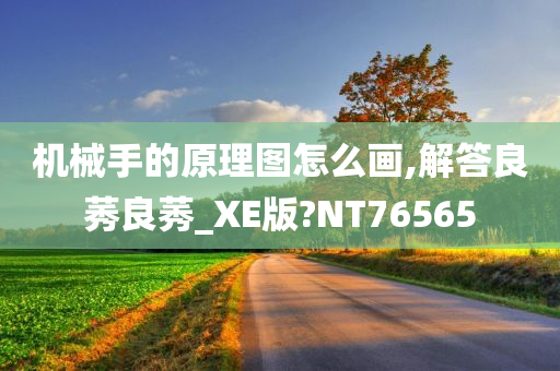 机械手的原理图怎么画,解答良莠良莠_XE版?NT76565