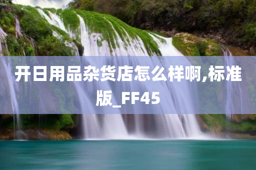 开日用品杂货店怎么样啊,标准版_FF45