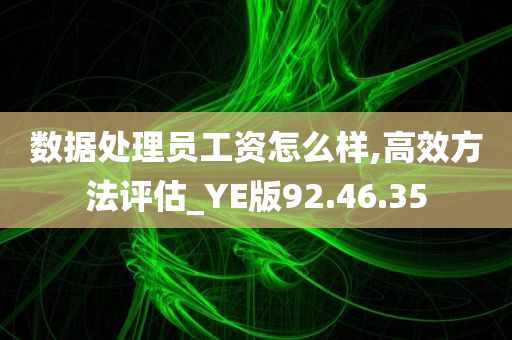 数据处理员工资怎么样,高效方法评估_YE版92.46.35