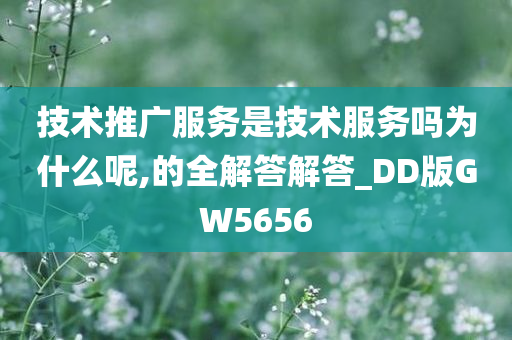 技术推广服务是技术服务吗为什么呢,的全解答解答_DD版GW5656