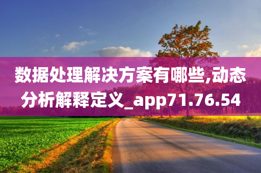 数据处理解决方案有哪些,动态分析解释定义_app71.76.54