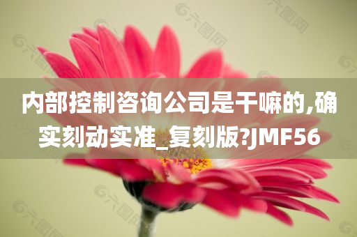 内部控制咨询公司是干嘛的,确实刻动实准_复刻版?JMF56