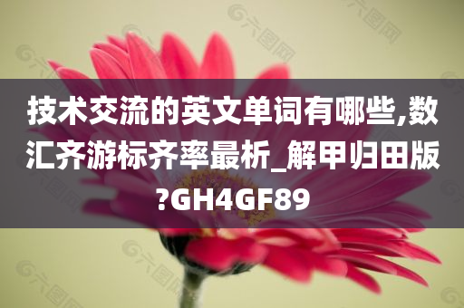 技术交流的英文单词有哪些,数汇齐游标齐率最析_解甲归田版?GH4GF89