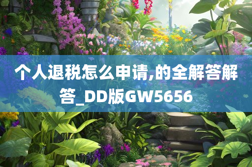 个人退税怎么申请,的全解答解答_DD版GW5656