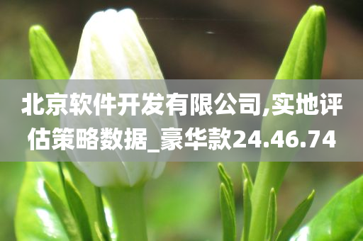 北京软件开发有限公司,实地评估策略数据_豪华款24.46.74