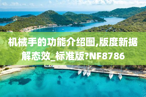 机械手的功能介绍图,版度新据解态效_标准版?NF8786