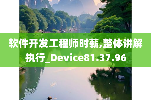 软件开发工程师时薪,整体讲解执行_Device81.37.96