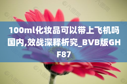 100ml化妆品可以带上飞机吗国内,效战深释析究_BVB版GHF87